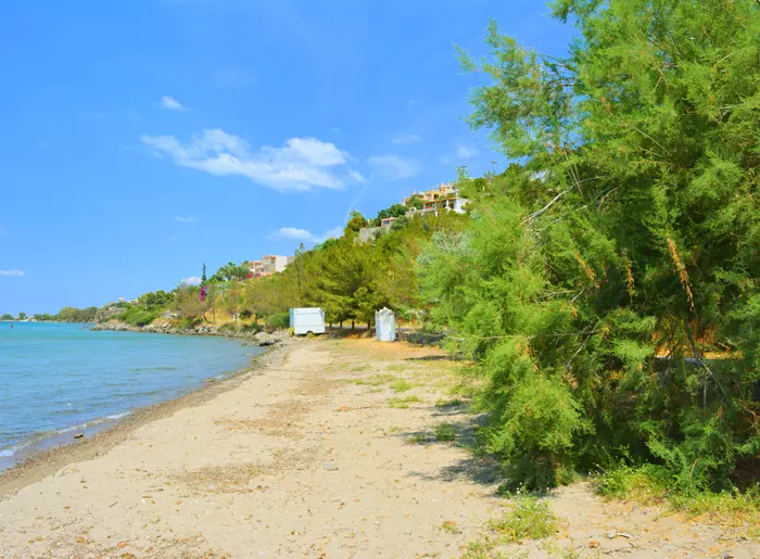 Marathonas beach - Aegina