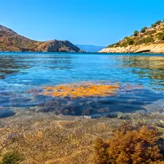 Bisti beach - Hydra